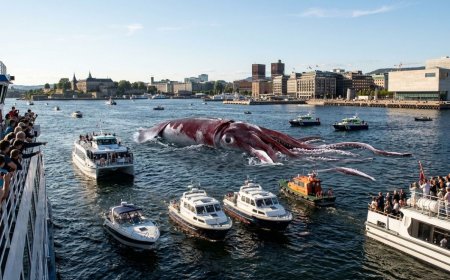 Ekstremt sjeldent syn: Kolossalt blekksprut-møte lammet båttrafikken i Oslofjorden