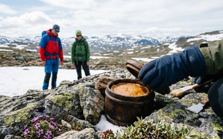 Mystisk funn på Hardangervidda: Eldgammel «ost» skaper hodebry for forskere